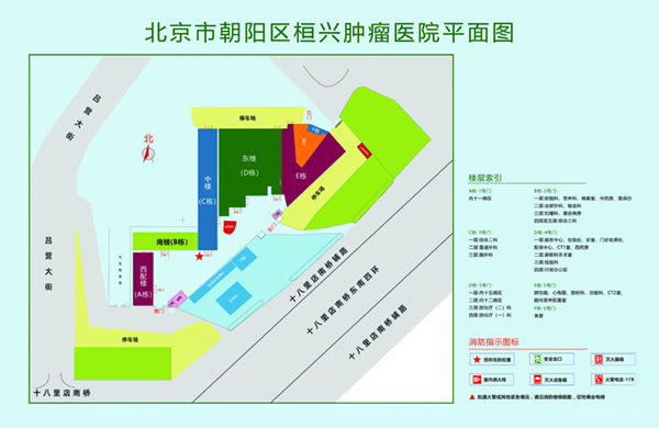 男女被c黄秘网站免费北京市朝阳区桓兴肿瘤医院平面图